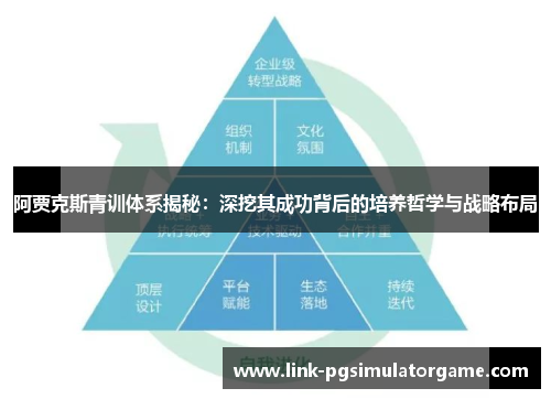 阿贾克斯青训体系揭秘:深挖其成功背后的培养哲学与战略布局 阿贾克斯青训体系揭秘:深挖其成功背后的培养哲学与战略布局