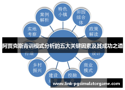 阿贾克斯青训模式分析的五大关键因素及其成功之道