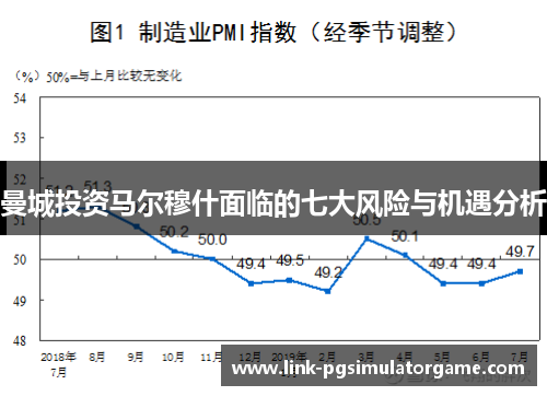曼城投资马尔穆什面临的七大风险与机遇分析